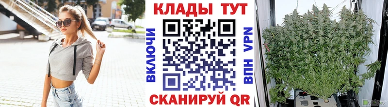 Купить наркотики сайты Жуковский Амфетамин Марихуана СК